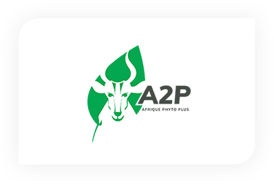 logo-a2p-3